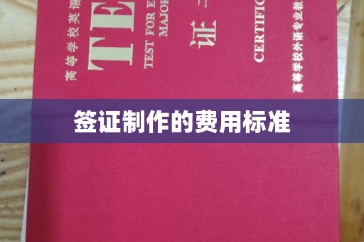 厚街签证制作的费用标准